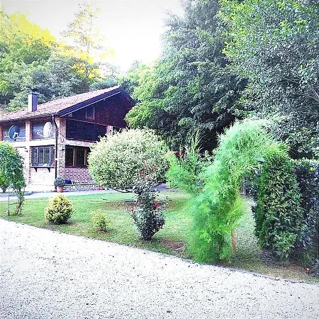 Foresta